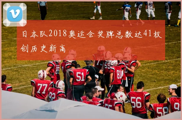 日本队2018奥运会奖牌总数达41枚创历史新高