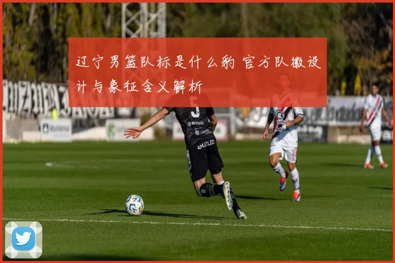 辽宁男篮队标是什么豹 官方队徽设计与象征含义解析