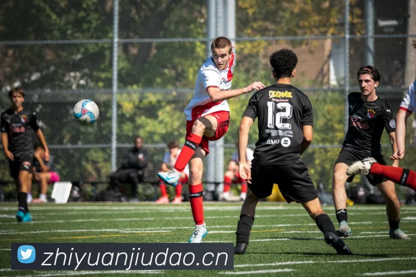 leyu乐鱼在线官网APP 封面图